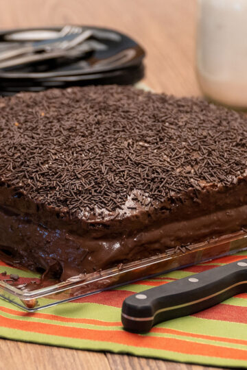 Brazilian chocolate coconut layer cake ready to serve.