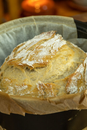 Finished no knead Dutch oven bread fresh from the oven.
